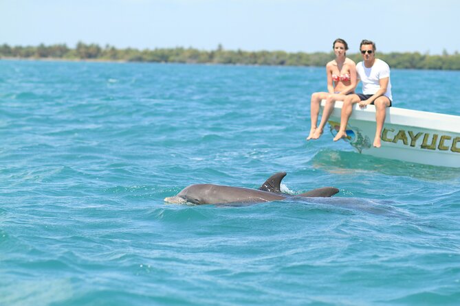 Sian Ka'an Adventure Full Day Trip to Punta Allen - Key Points Before You Book