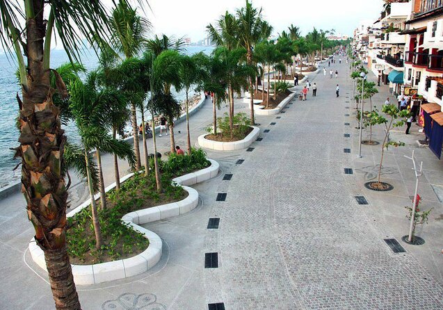 Signature Taco Tour in PV with Vallarta Eats - Key points to know before you book