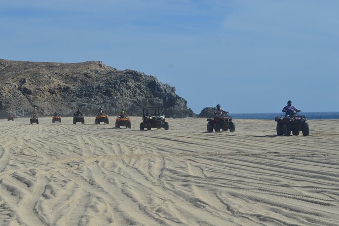 Single ATV Tour from Migriño Beach & Desert - Two Pacific rest stops during whale season