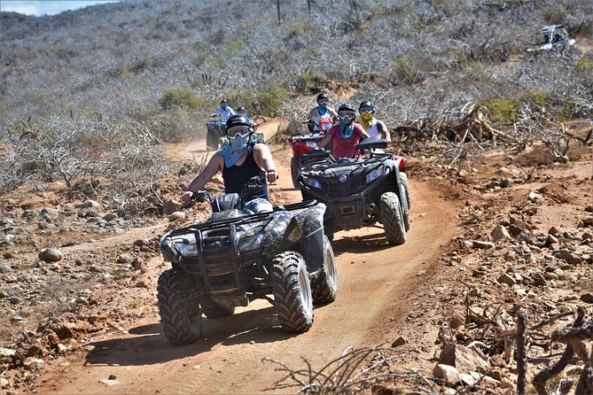 Single ATV Tour from Migriño Beach & Desert - Who will enjoy this ride most