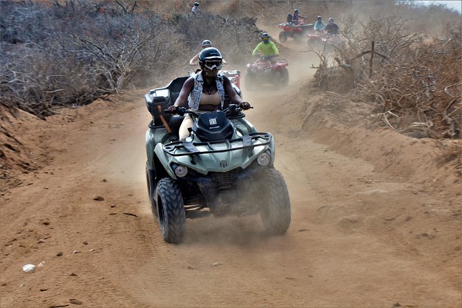 Single ATV Tour from Migriño Beach & Desert - Weather, cancellation, and planning details