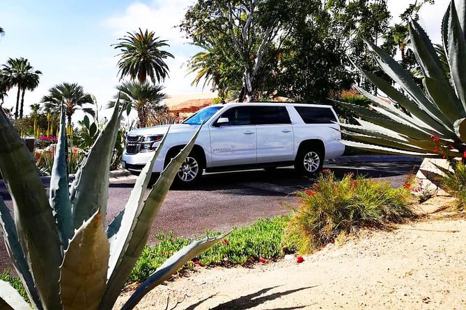 SJD Airport to Cabo San Lucas - One way service - The return option and departure timing
