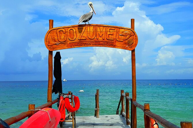 SkyReef Cozumel Snorkel & Tequila Tasting - Tequila tasting with a few strings attached