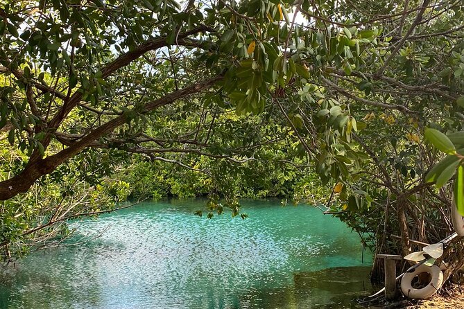 Small-Group 3 Cenotes Adventure Tour - The guides make the difference