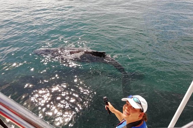 Small-Group Half-Day Whale-Watching Tour in Puerto Vallarta - Thalia, Pilar, Talia, and the value of a real field guide