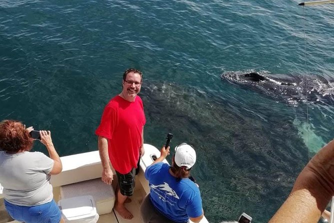 Small-Group Half-Day Whale-Watching Tour in Puerto Vallarta - Dolphins, turtles, and other bonus sightings