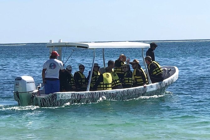 Small-Group Mesoamerican Barrier Reef Snorkeling in Puerto Morelos - Equipment, wetsuits, and the no-sunscreen rule