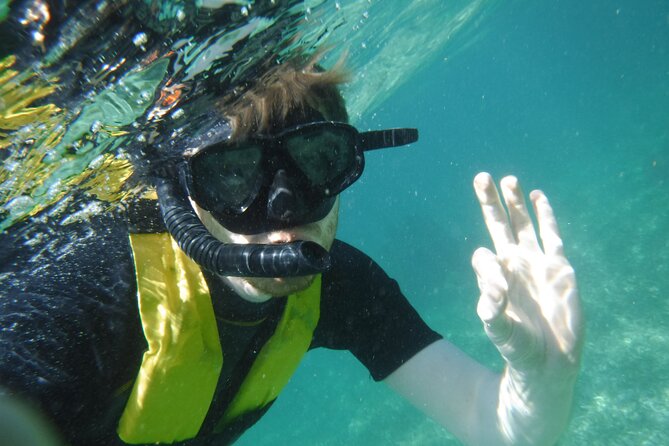 Small-Group Mesoamerican Barrier Reef Snorkeling in Puerto Morelos - A simple setup with strong value at $45