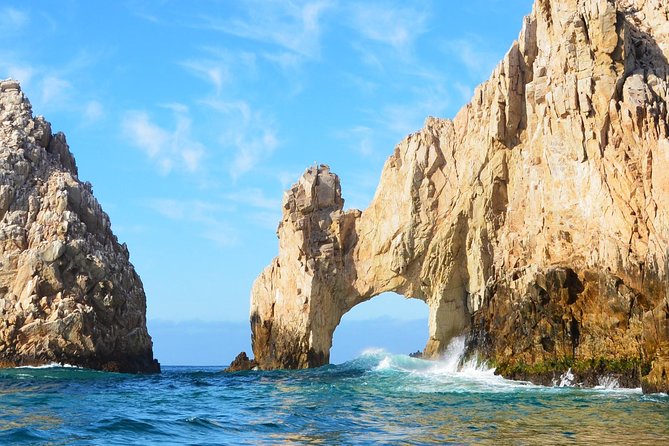 SMALL GROUP Whale Watch | Cabo San Lucas | Biologist | FREE Pics - Free photos are useful, not just a marketing extra