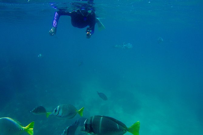 Snorkel Adventure and Hike to a Hidden Beach - Who will enjoy this Cabo outing most