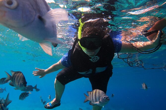 Snorkel along the coast, explore two reefs by Chivis del Mar - Dzul-Ha Reef, coral and photo time