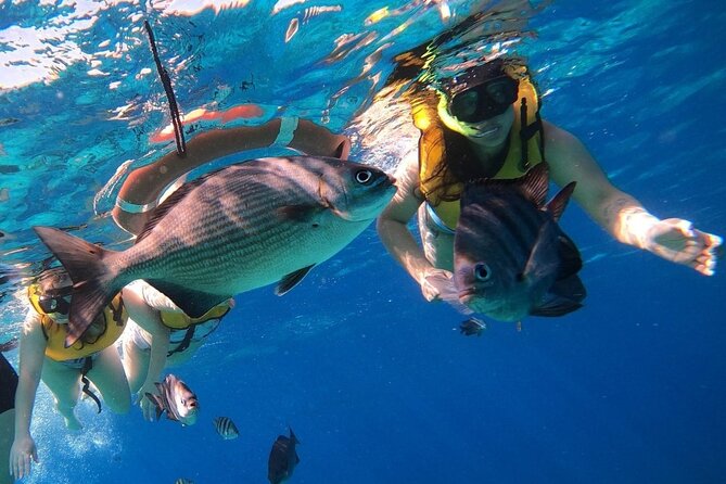 Snorkel along the coast, explore two reefs by Chivis del Mar - Port transfers can make or break the day