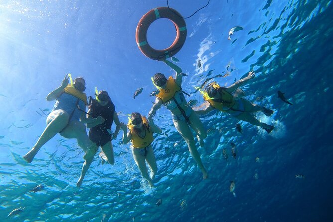 Snorkel along the coast, explore two reefs by Chivis del Mar - Paradise Reef, the first water stop