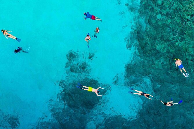 Snorkel and arch tour in los cabos - What Is Included, and What You Need to Bring