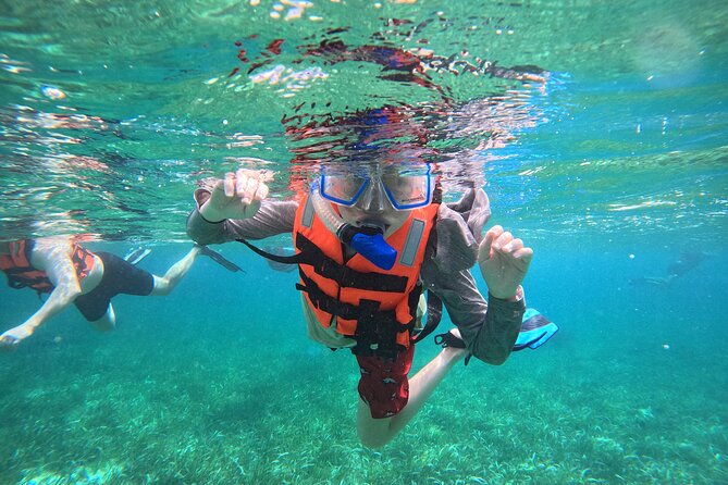 Snorkel at the Reef 2 HOURS Puerto Morelos National park - Key points before you book