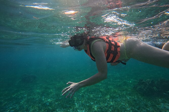 Snorkel at the Reef 2 HOURS Puerto Morelos National park - Why Puerto Morelos is a good place for reef snorkeling