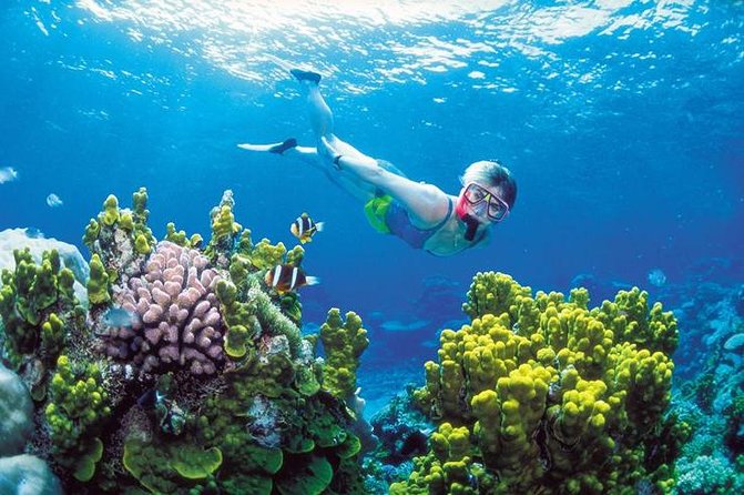 Snorkel, ATV, Zipline and Cenote Adventure from Cancun - Two Coastlines in One Long Adventure