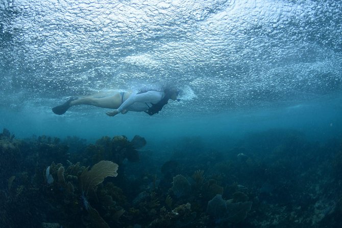 Snorkel, ATV, Zipline and Cenote Adventure from Cancun - Six Ziplines, Including an Upside-Down Finish