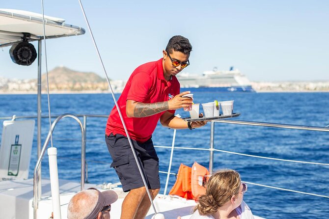 Snorkel Cruise in Los Cabos - Winter whales add real value