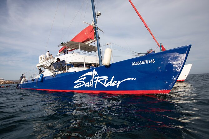 Snorkel, Lunch & Sail in Cabo San Lucas - Setting out from Cabo Marina at 10:30 a.m.