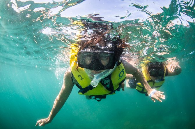 Snorkel, Lunch & Sail in Cabo San Lucas - What $115 buys you in real value