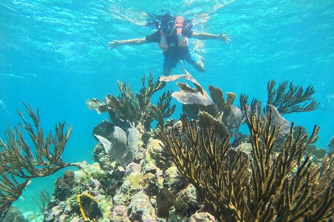 Snorkel Tour on the Costa Maya with experienced Guid - Finding the La Tempestad meeting point in Mahahual
