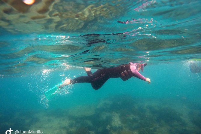 Snorkeling Adventure Cabo Pulmo - Reaching Cabo Pulmo from Los Cabos