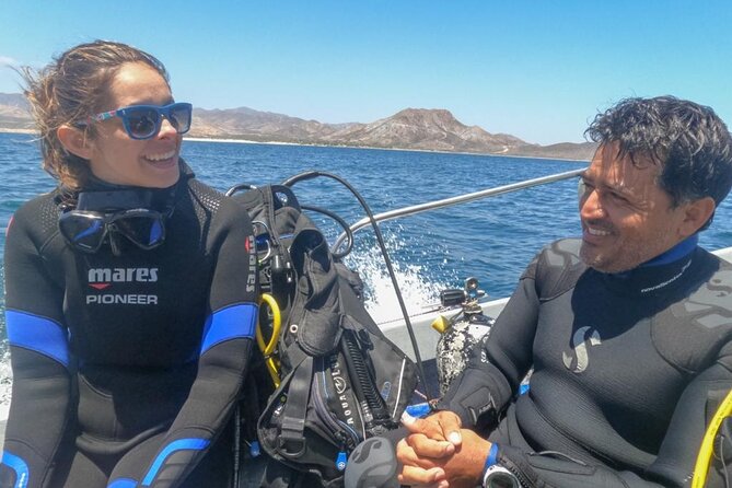 Snorkeling Adventure Cabo Pulmo - Marine life, from gulf grouper to jellyfish