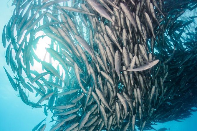 Snorkeling Adventure Cabo Pulmo - Starting with a marine park briefing