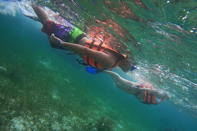 Snorkeling Adventure in Puerto Morelos Includes snack, Water and Round Trip. - What the $44.25 price really covers
