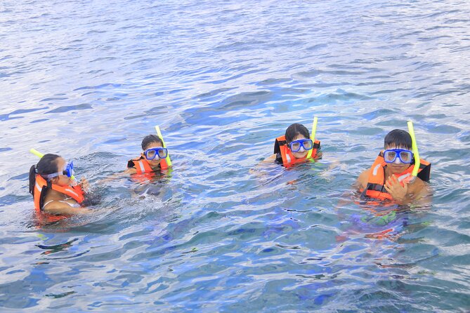 Snorkeling Adventure in Puerto Morelos Includes snack, Water and Round Trip. - The best and worst parts of the schedule