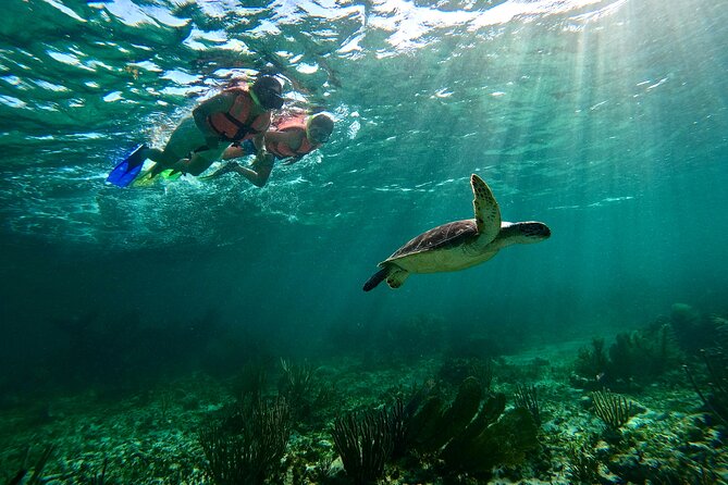 Snorkeling Guided Activity in Puerto Morelos Mexico - Meeting at the Faro Inclinado
