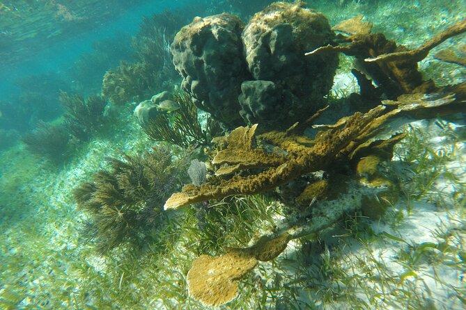 Snorkeling Guided Activity in Puerto Morelos Mexico - Equipment, Clothing, and the Sunscreen Rule