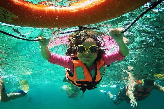 Snorkeling Guided Activity in Puerto Morelos Mexico - First Forty Minutes on the Reef