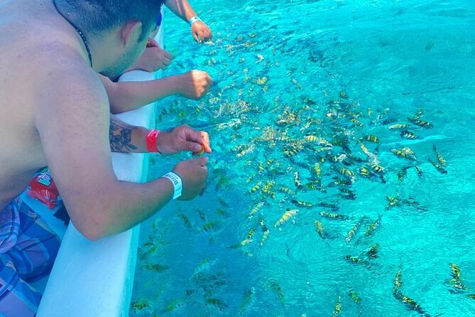 Snorkeling in Isla Mujeres and Underwater Museum - Who should book this experience?
