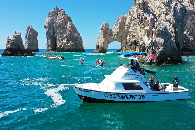 Snorkeling or Swimming with Sharks in Cabo San Lucas - When there are no sharks