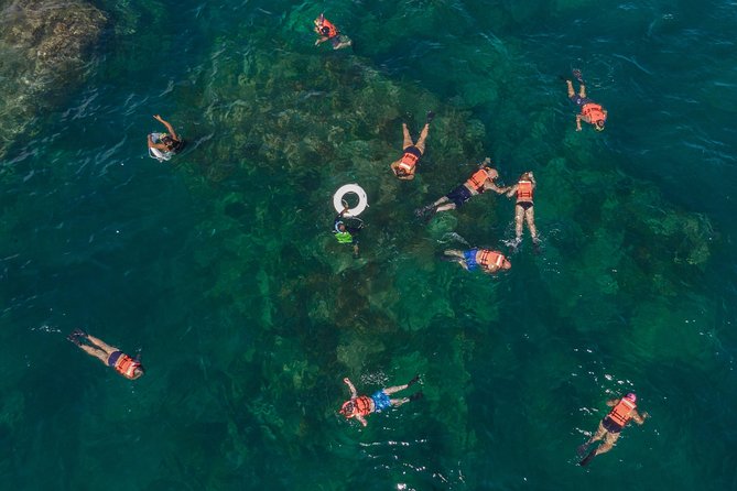 Snorkeling tour in Cabo San Lucas - The Three-Hour Plan: Marina to Chileno Bay
