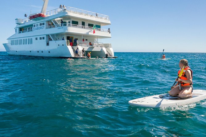 Snorkeling tour in Cabo San Lucas - El Arco and the Rock Coast