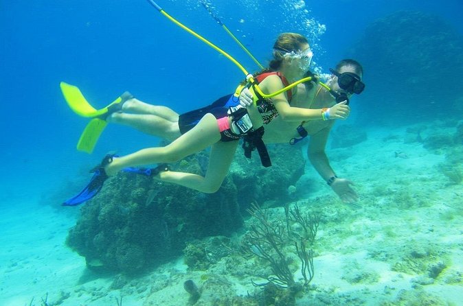 SNUBA Cozumel Underwater Adventure inside Chankanaab National Park - Timing, group size, and cruise-day planning