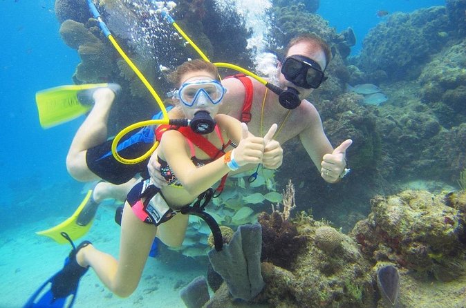 SNUBA Cozumel Underwater Adventure inside Chankanaab National Park - Who will get the most from this experience