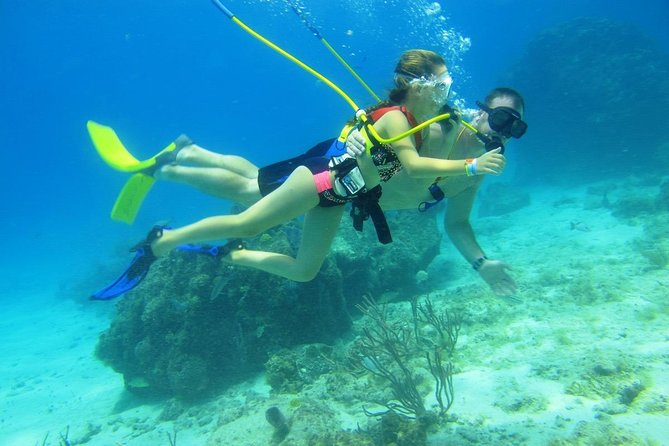 SNUBA Cozumel Underwater Adventure inside Chankanaab National Park - Is the $65 price good value?