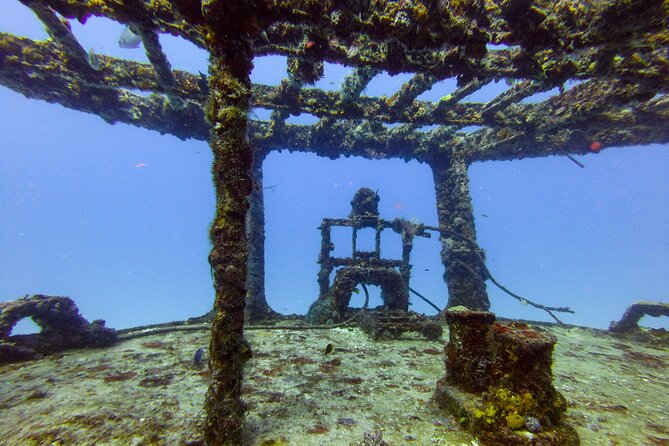 SPECIAL!! 2 Tank Wreck & Drift Reef dives - The second tank follows the reef
