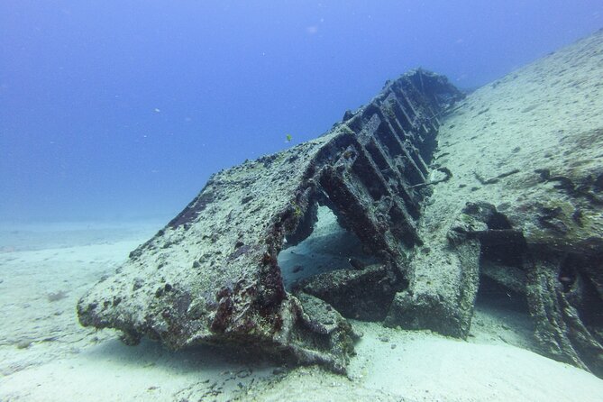 SPECIAL!! 2 Tank Wreck & Drift Reef dives - Meeting in central Isla Mujeres