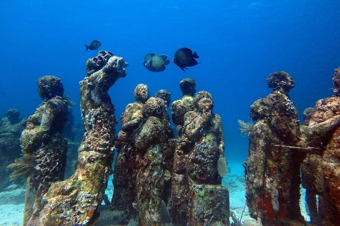 SPECIAL! Snorkel at MUSA - The Underwater Museum Reservation - Manchones Reef and the living part of the visit