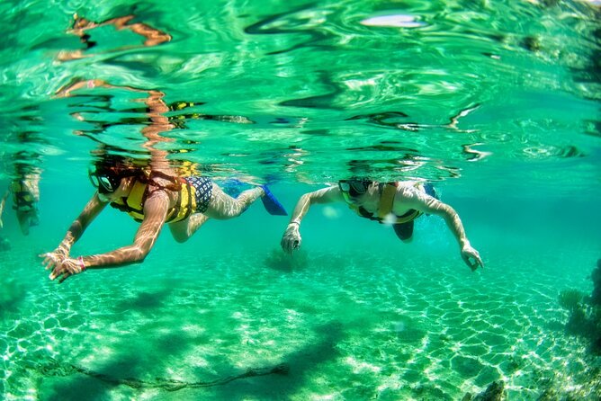 Speedboat across the Mangroves & Snorkel with Jet Ski Rental - Timing, fitness, and what to bring