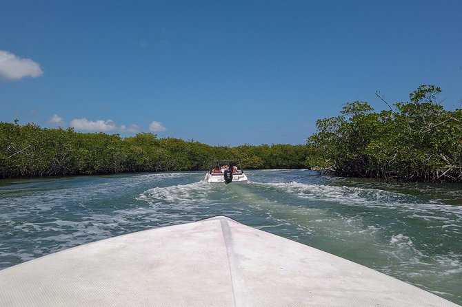 Speedboat and snorkel tour: Single Passenger Boat - What Makes the Single-Passenger Boat Special