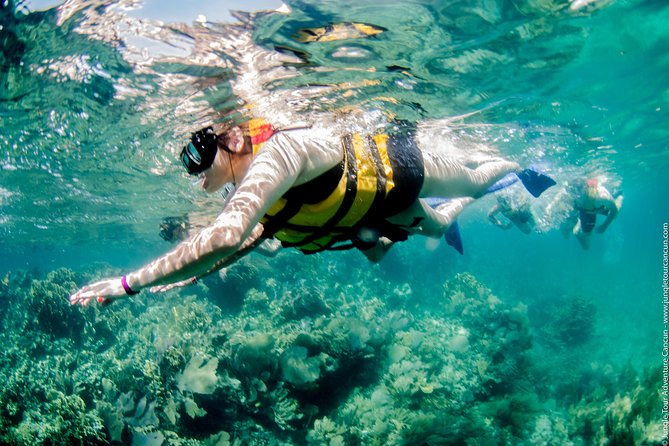 Speedboat and snorkel tour: Single Passenger Boat - Driving Through Cancun’s Waterways