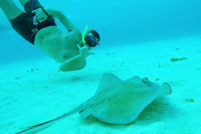 Starfish, Stingrays and the Turtle Sanctuary Snorkel Tour - The boat, shade, and water access