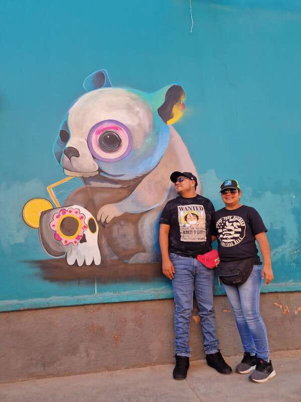 Street Art with an artist - Key points to know before you book