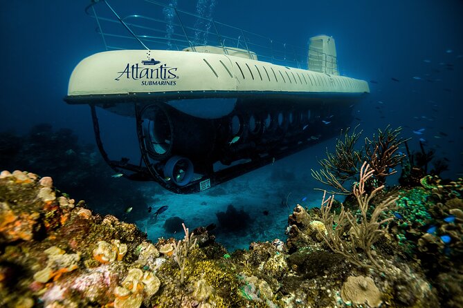 Submarine Atlantis Cozumel Adventure by Day & Sunset - Cozumel’s wall and the Felipe Xicoténcatl